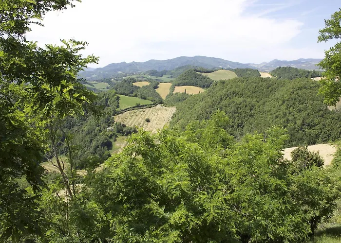 Rural Retreat In Appartement Sassoleone