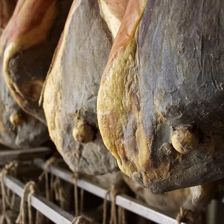 Rural Retreat In Sassoleone Apartment