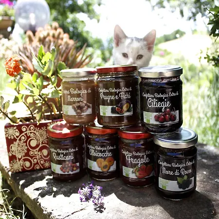 Rural Retreat In Sassoleone *