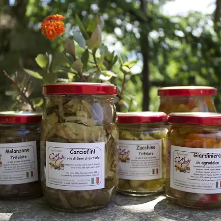 Rural Retreat In Apartment