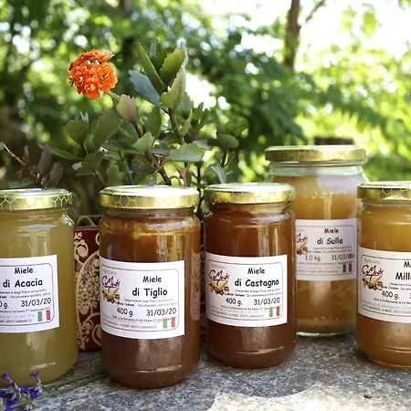 Apartment Rural Retreat In *