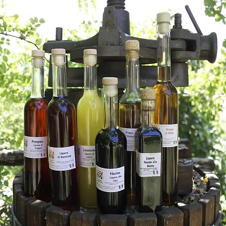 Rural Retreat In Sassoleone * Sassoleone