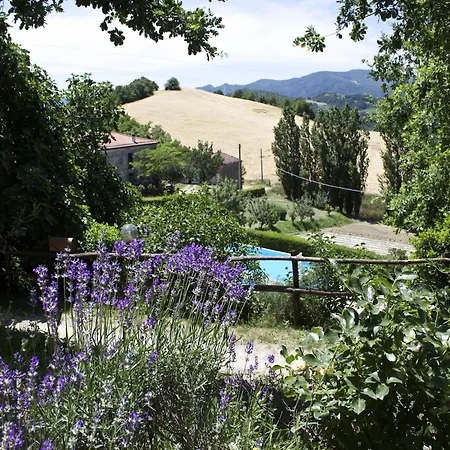 Apartment Rural Retreat In Sassoleone