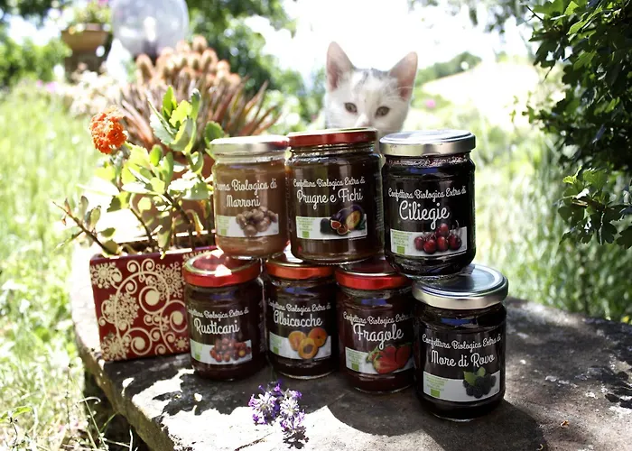 Rural Retreat In Sassoleone *