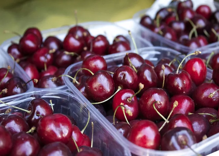 Rural Retreat In Sassoleone