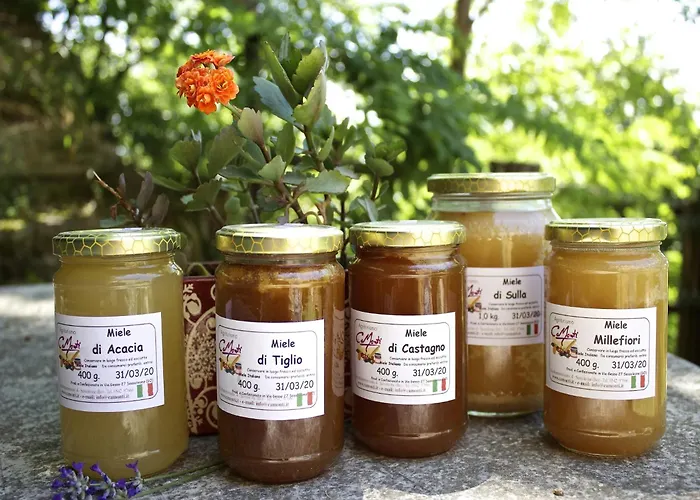 Apartmán Rural Retreat In *