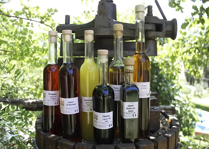 Rural Retreat In Sassoleone * Sassoleone